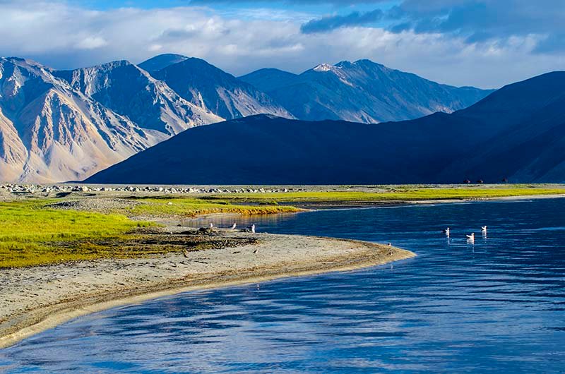 Pangong Tso Lake Ladakh